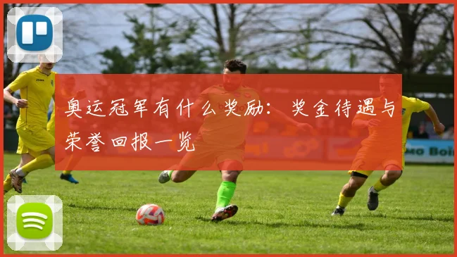 奥运冠军有什么奖励：奖金待遇与荣誉回报一览