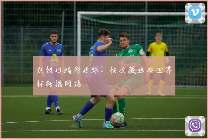 别错过精彩进球！快收藏这些世界杯转播网站