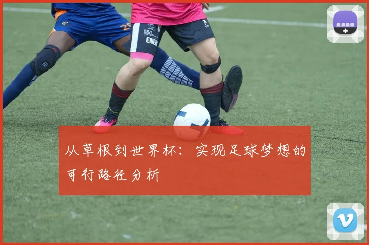 从草根到世界杯：实现足球梦想的可行路径分析