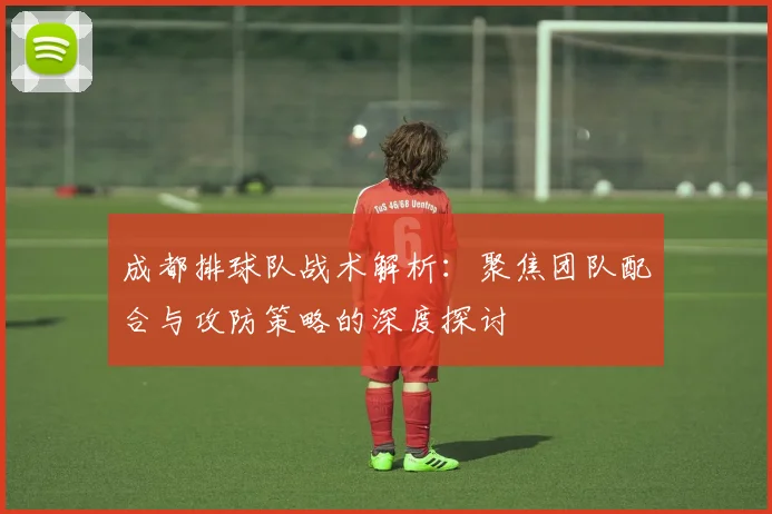 成都排球队战术解析：聚焦团队配合与攻防策略的深度探讨